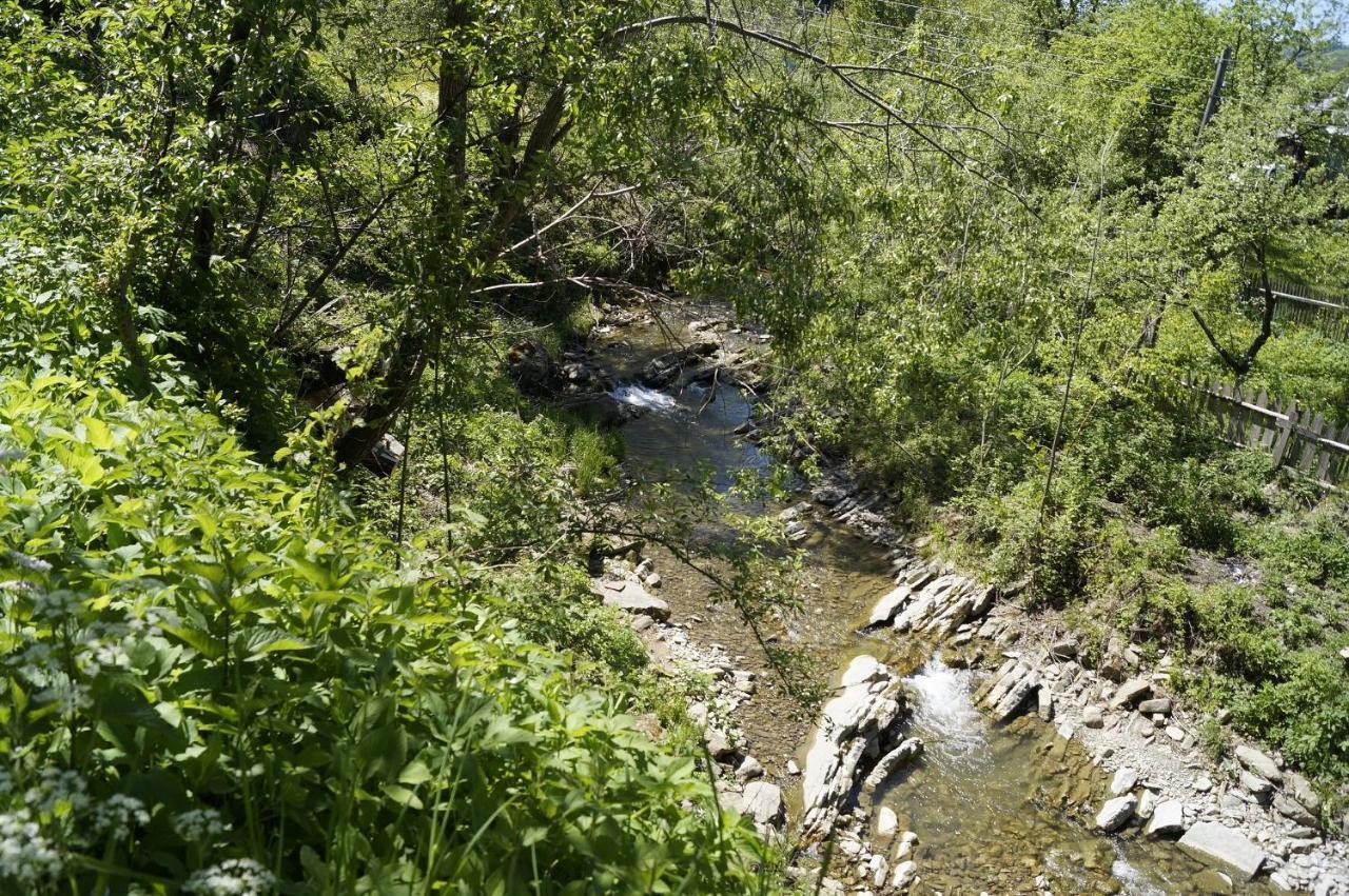 Будиночок В Карпатах Yaremche Dış mekan fotoğraf